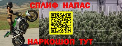 каннабис Ставрополь