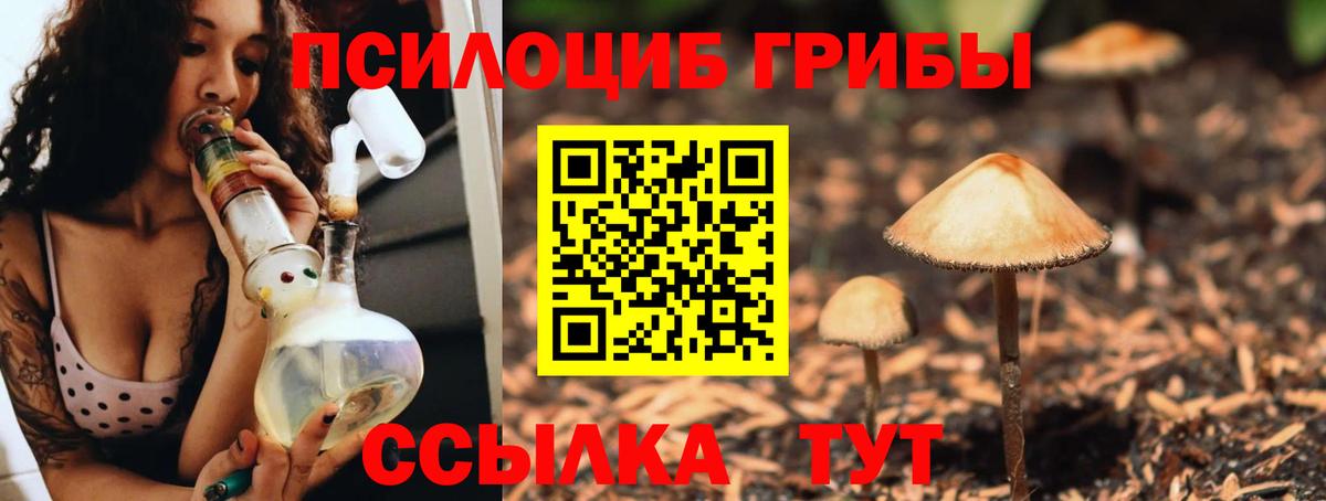 Нефтекамск  Галлюциногенные грибы мухоморы  купить наркоту  Вход с VPN 